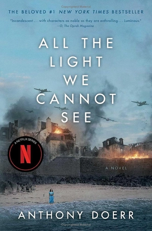 all the light we cannot see - Ảnh 2