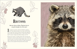 an anthology of intriguing animals - Ảnh 9