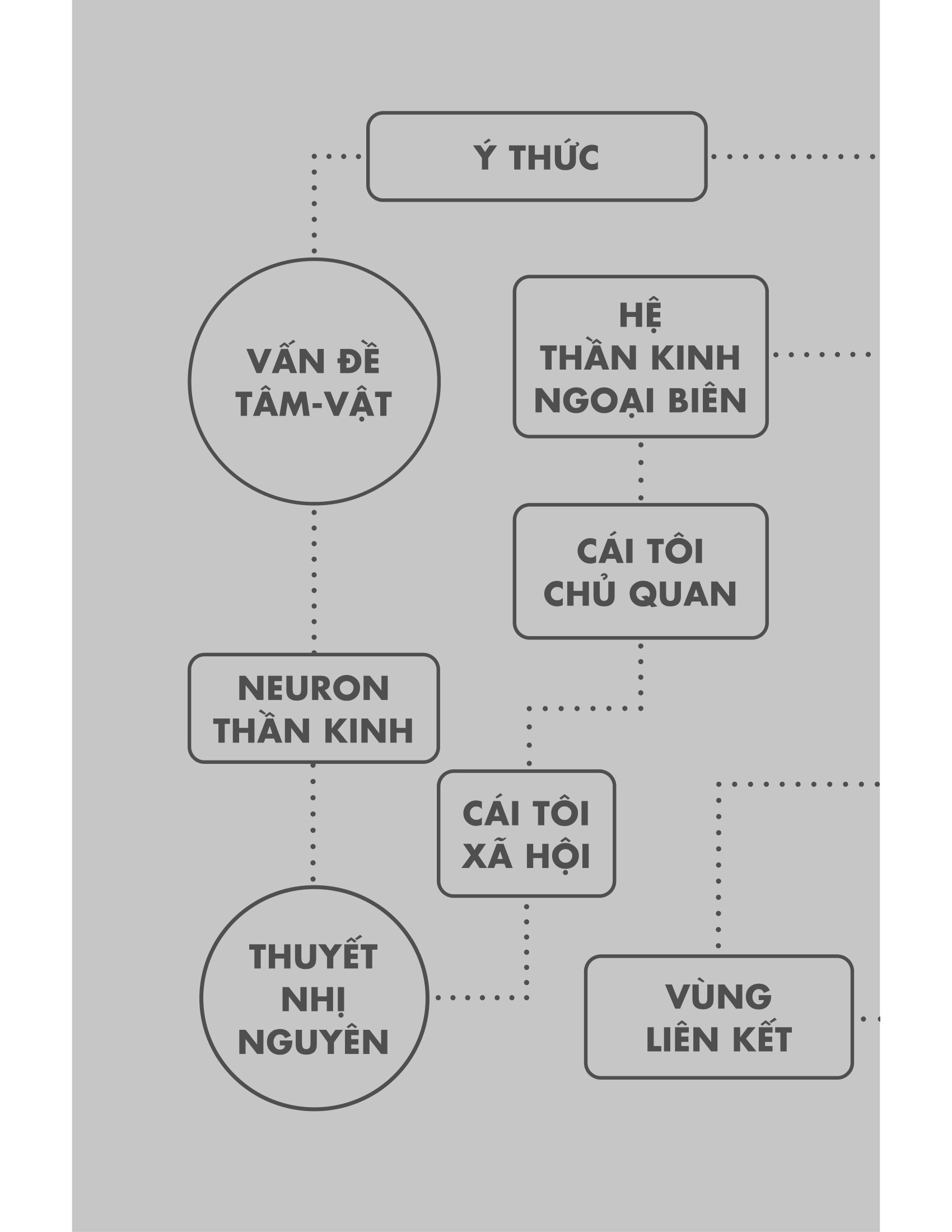 Bản Đồ Não Bộ - Từ Tế Bào Thần Kinh Đến Những Ý Tưởng Lớn - Ảnh 11