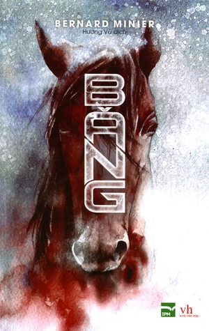 băng - Ảnh 3