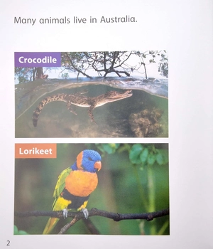 become an expert animals in australia - Ảnh 4