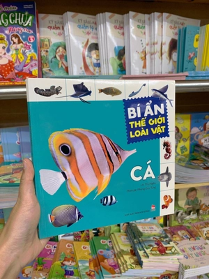 bí ẩn thế giới loài vật - cá - Ảnh 9