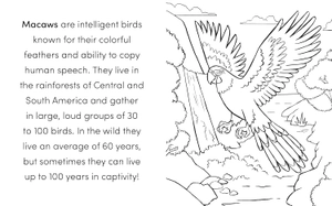 bird book for kids - Ảnh 6