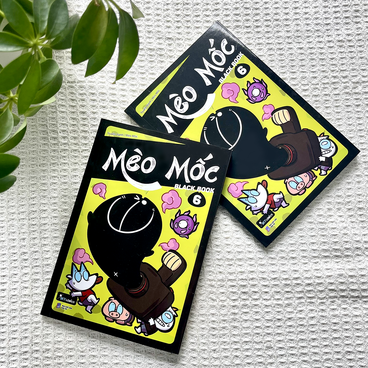 Bộ Mèo Mốc Black Book - Tập 6 - Ảnh 3