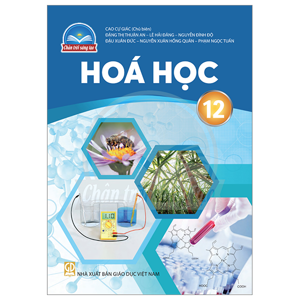 Bộ Ngữ Văn 12 - Tập 1 (Chân Trời) (Chuẩn) - Ảnh 28