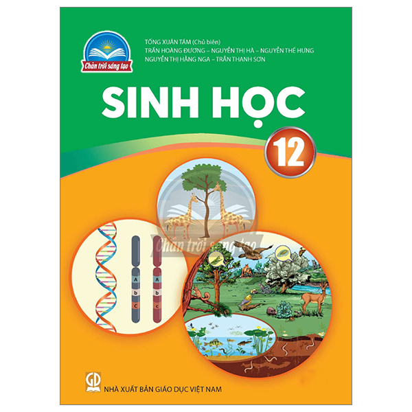 Bộ Ngữ Văn 12 - Tập 2 (Chân Trời) (Chuẩn) - Ảnh 22