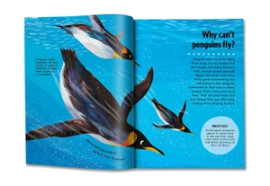 britannica first big book of why - Ảnh 3