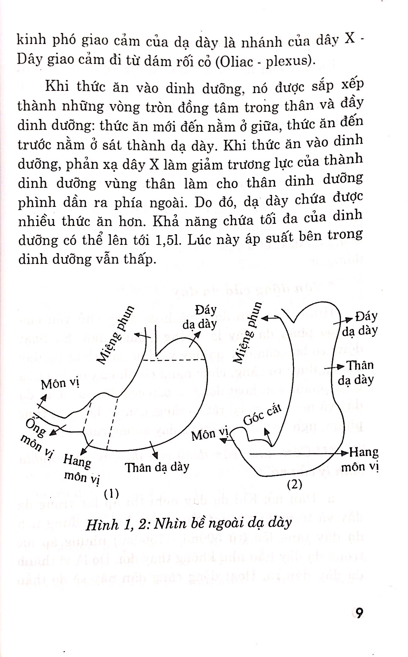 các phương pháp chữa trị - bệnh dạ dày - Ảnh 15
