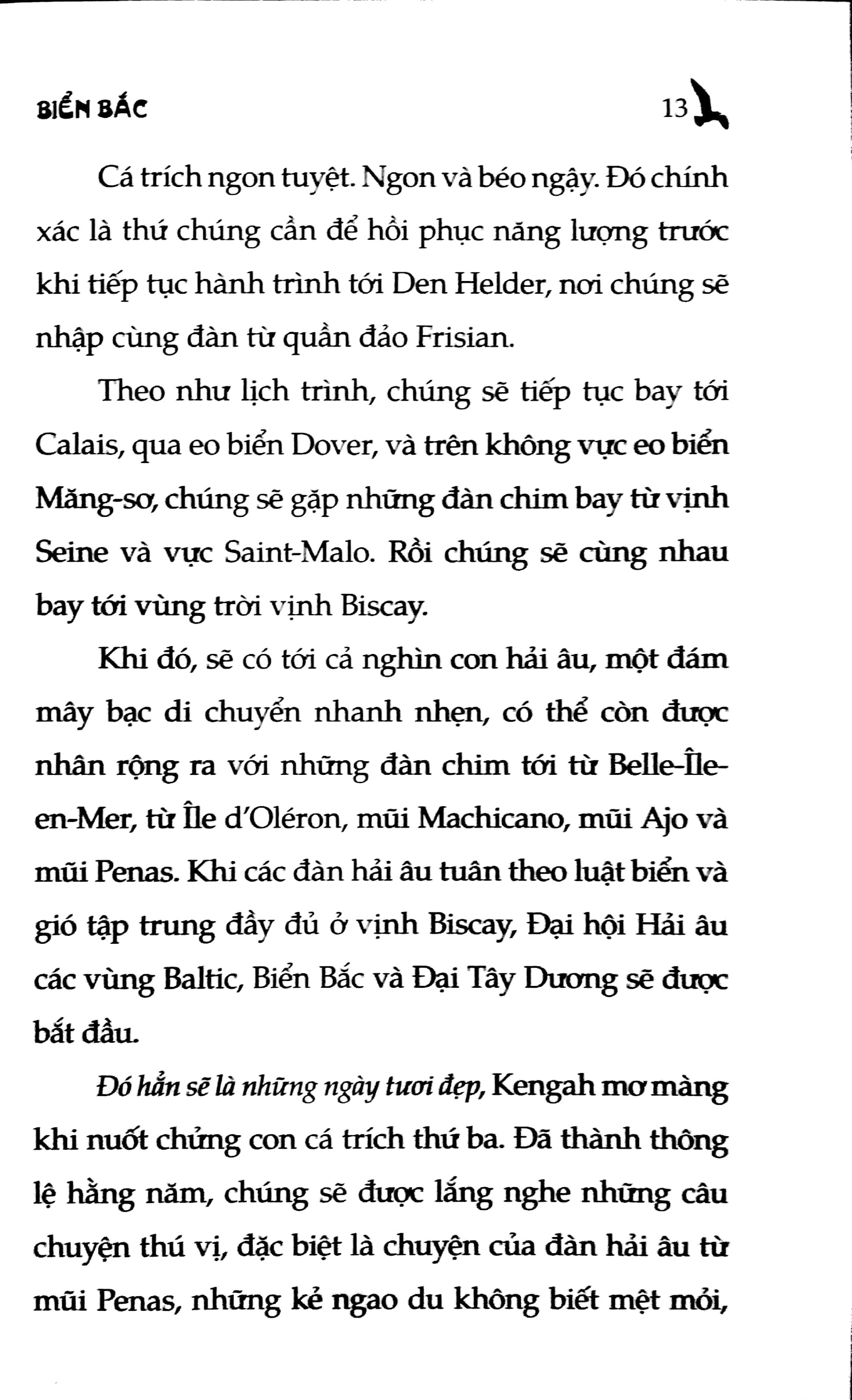 chuyện con mèo dạy hải âu bay (tái bản 2024) - Ảnh 7