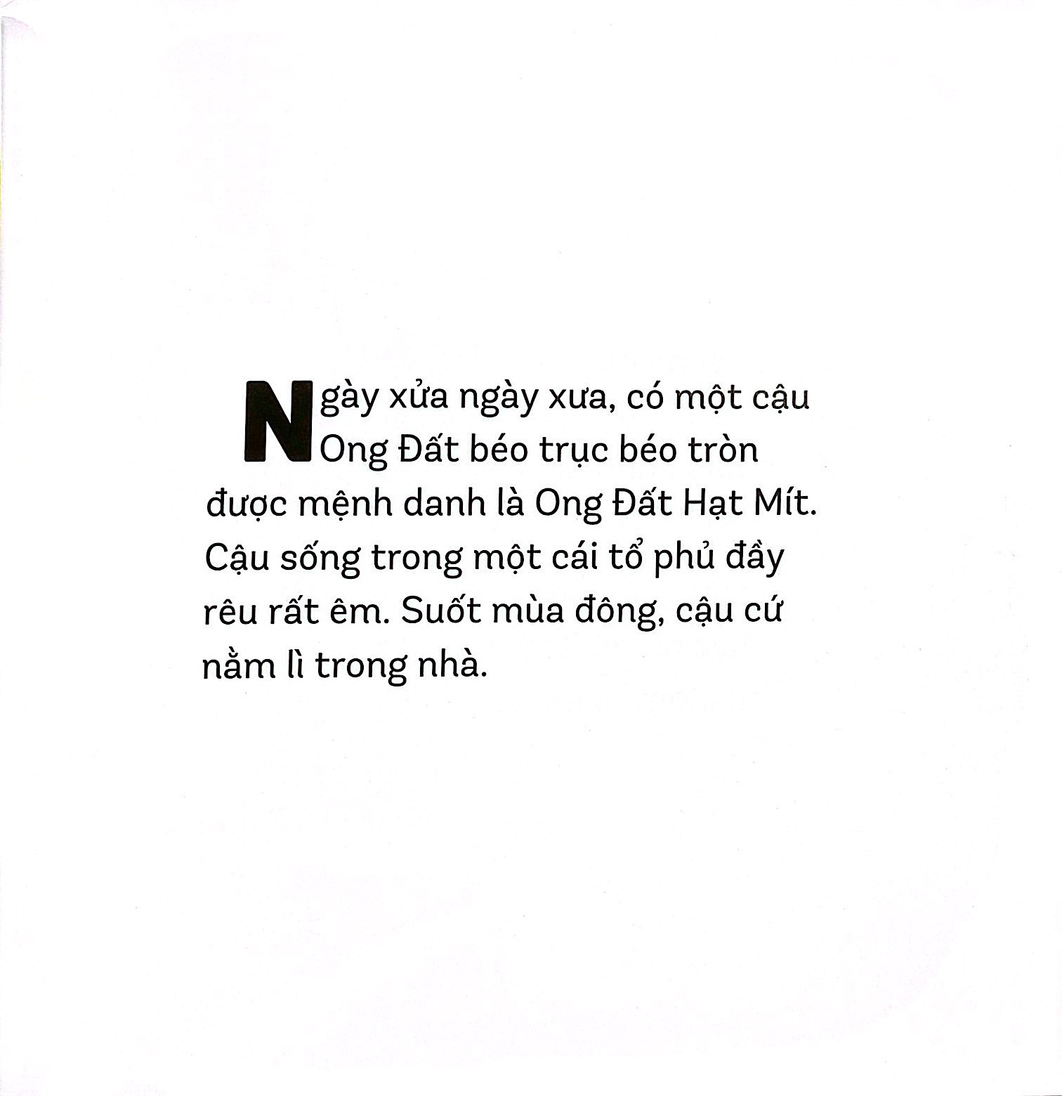 chuyện kể cho bé - ong đất hạt mít - Ảnh 4