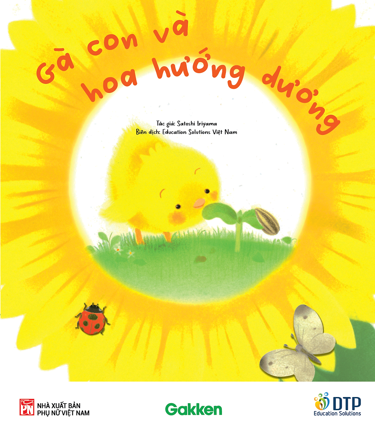 gà con và hoa hướng dương - Ảnh 2