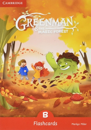 greenman and the magic forest b flashcards (pack of 48) - Ảnh 2