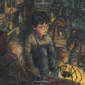 harry potter - a journey through a history of magic - Ảnh 4