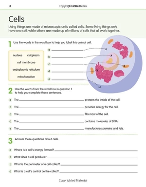 how to be good at science, technology & engineering workbook 2, ages 11-14 (key stage 3): the simplest-ever visual workbook - Ảnh 15