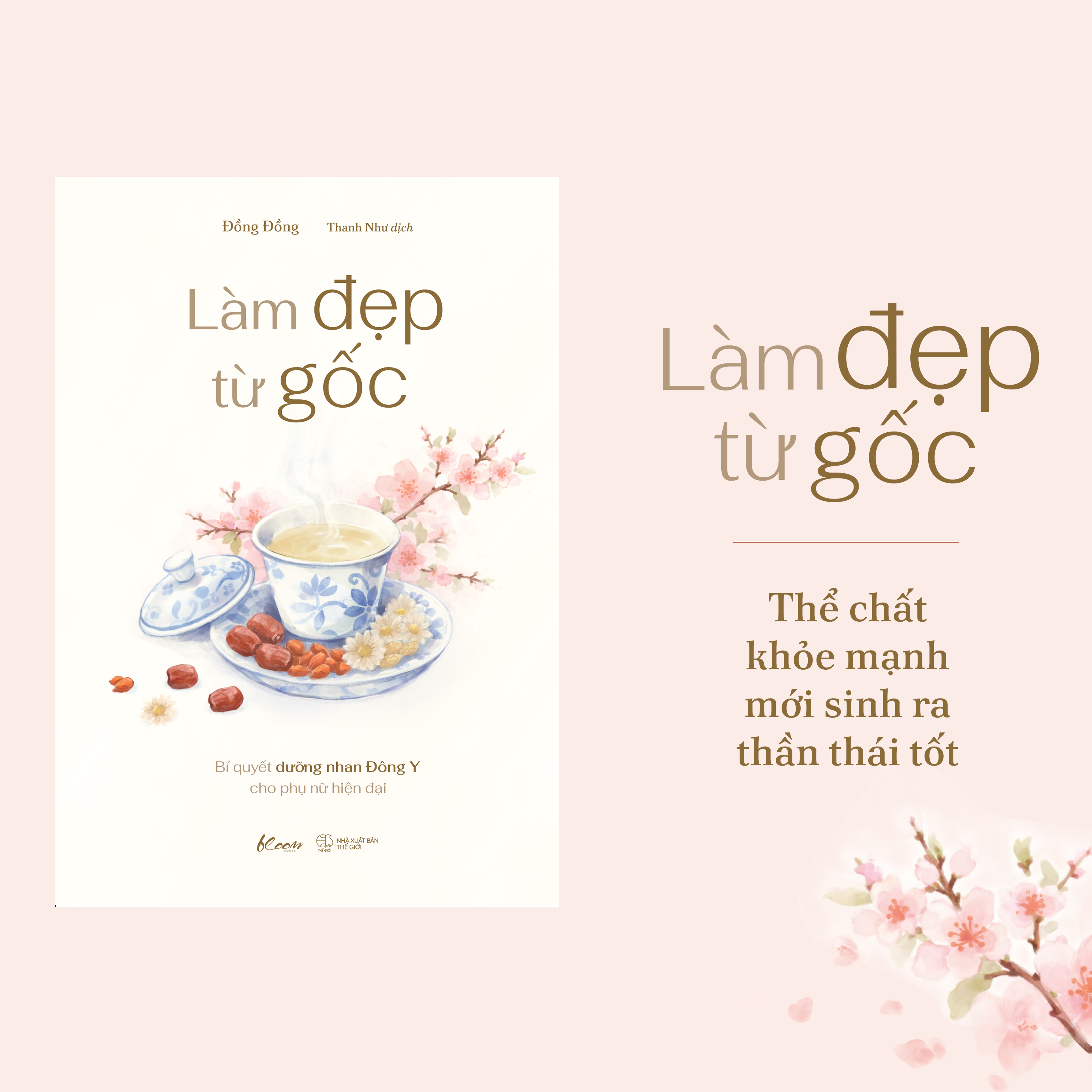 Làm Đẹp Từ Gốc - Bí Quyết Dưỡng Nhan Đông Y Cho Phụ Nữ Hiện Đại - Ảnh 3