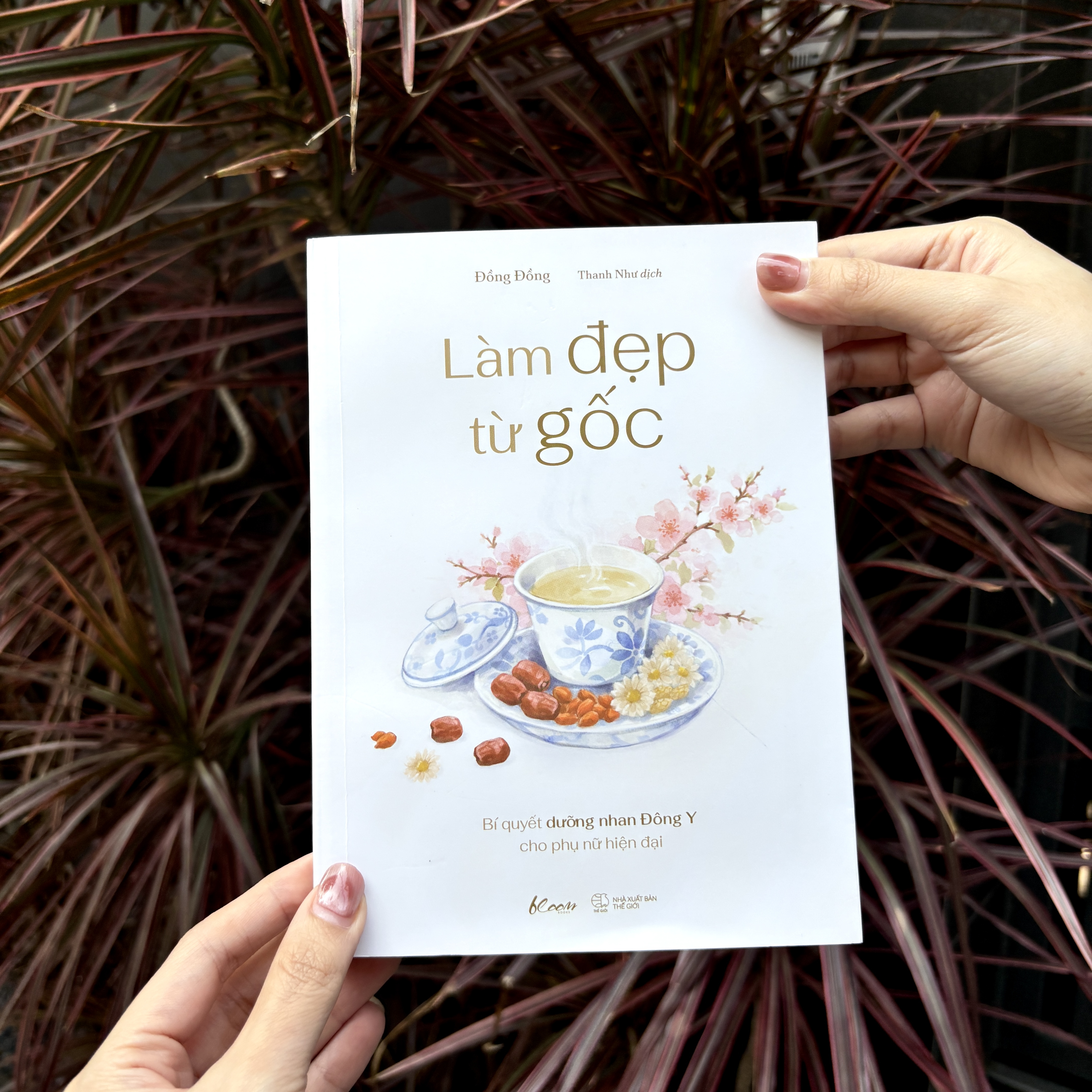 Làm Đẹp Từ Gốc - Bí Quyết Dưỡng Nhan Đông Y Cho Phụ Nữ Hiện Đại - Ảnh 6