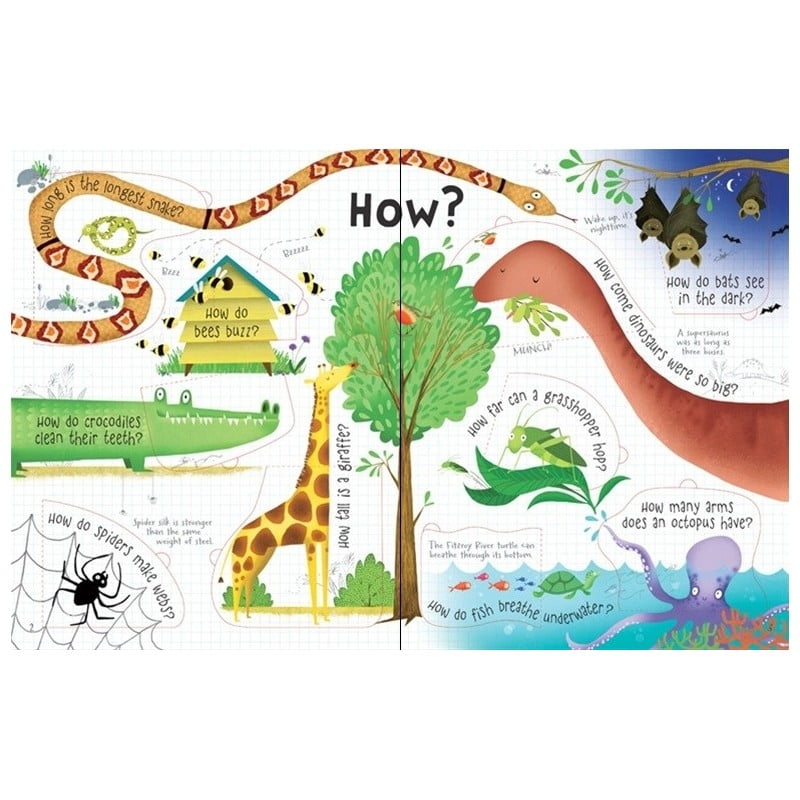 lift the flap questions & answers about animals paperback - Ảnh 2