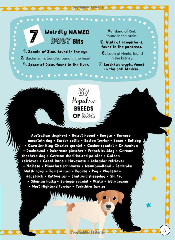 lists for curious kids: 263 fun, fascinating and fact-filled lists (curious lists) - Ảnh 4