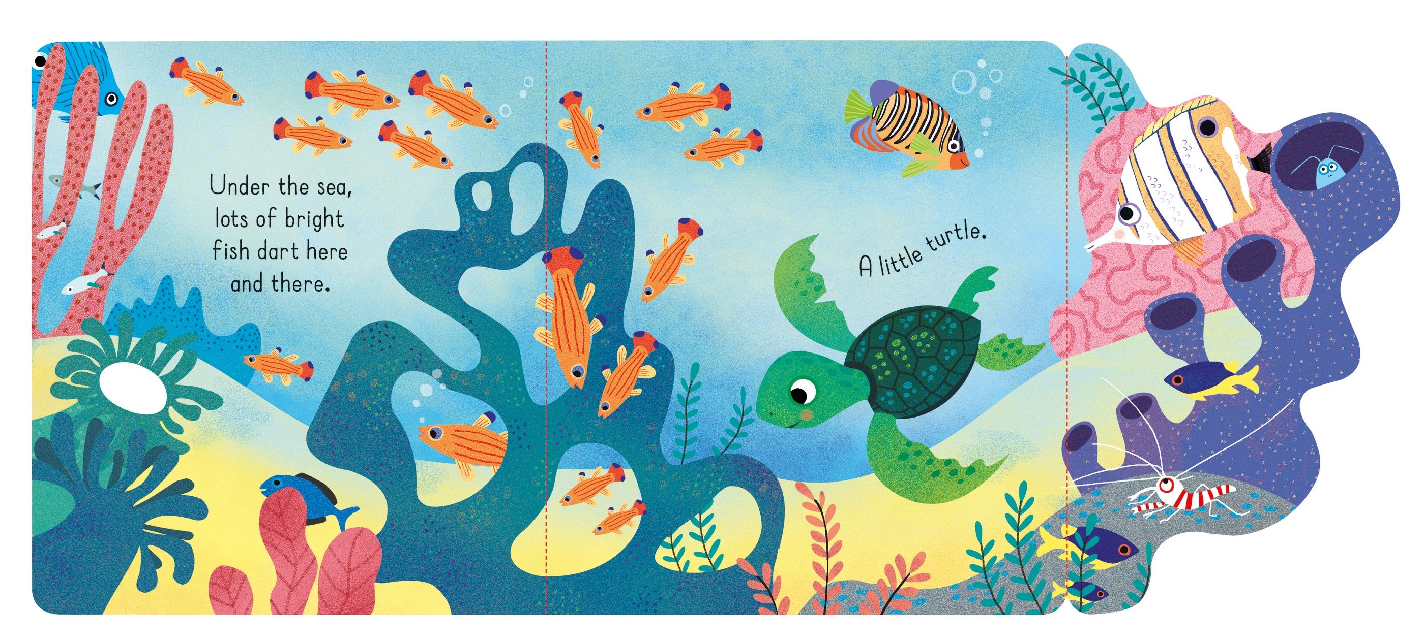 little lift and look under the sea - Ảnh 3