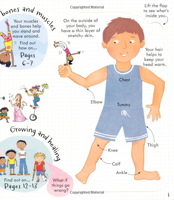 look inside: your body - Ảnh 4