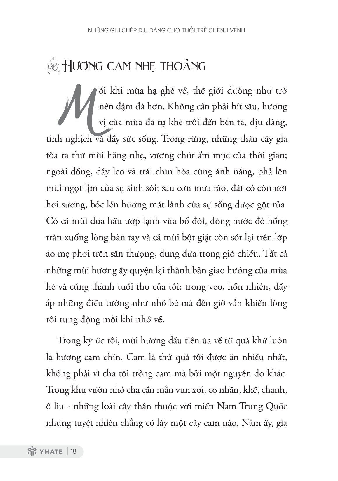 Những Ghi Chép Dịu Dàng Cho Tuổi Trẻ Chênh Vênh - Ảnh 4