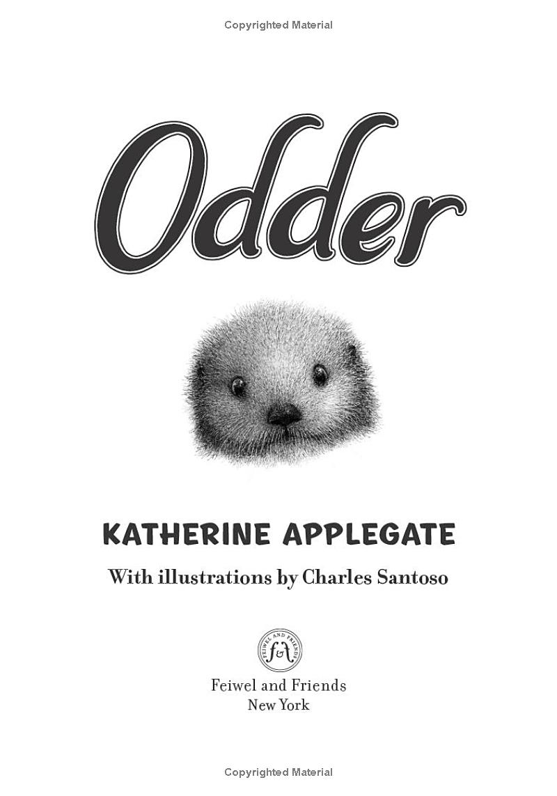 odder - Ảnh 4