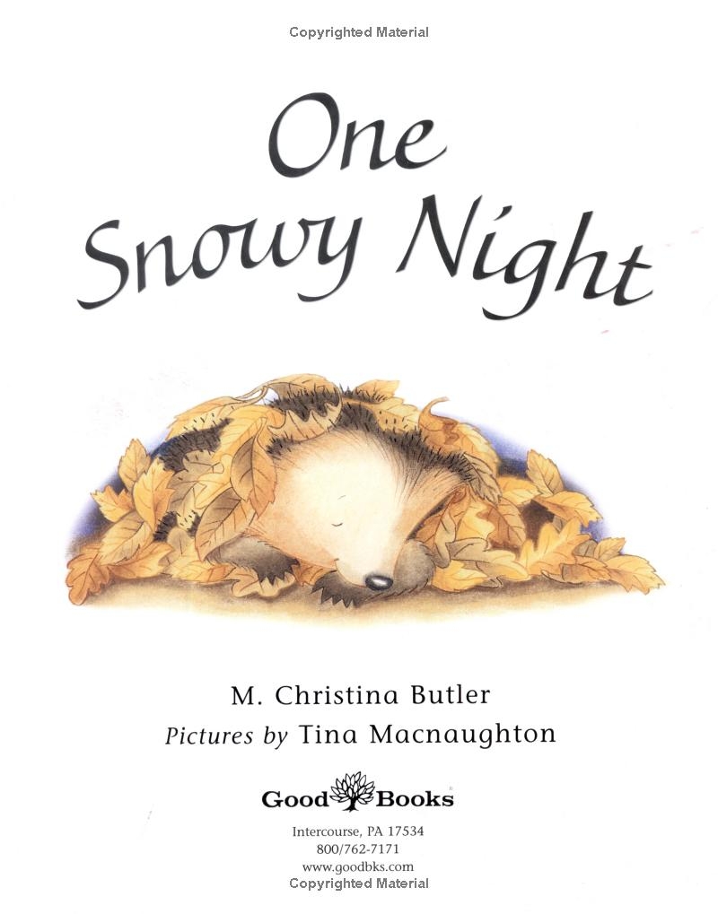 one snowy night - Ảnh 5
