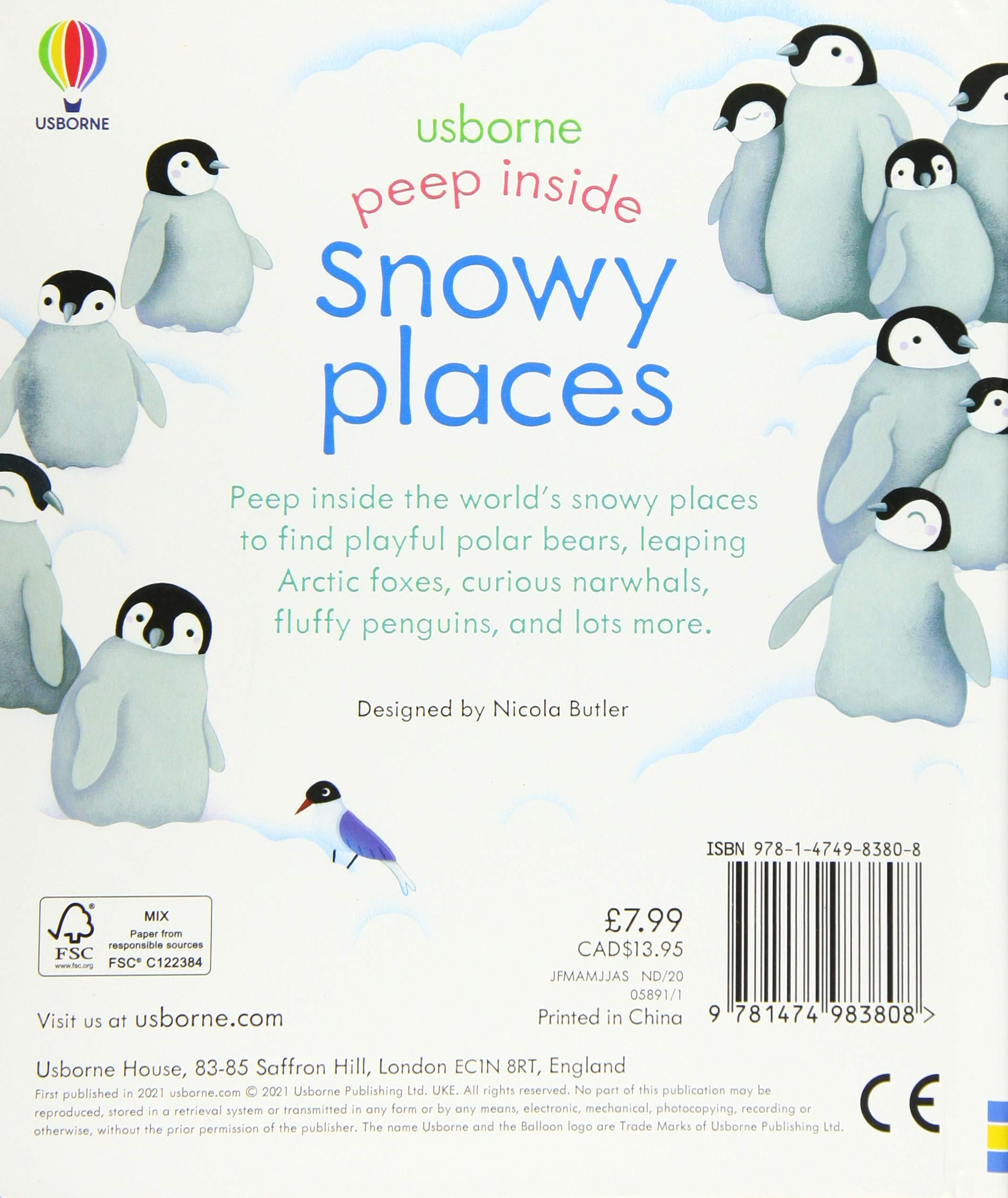 peep inside snowy places - Ảnh 6