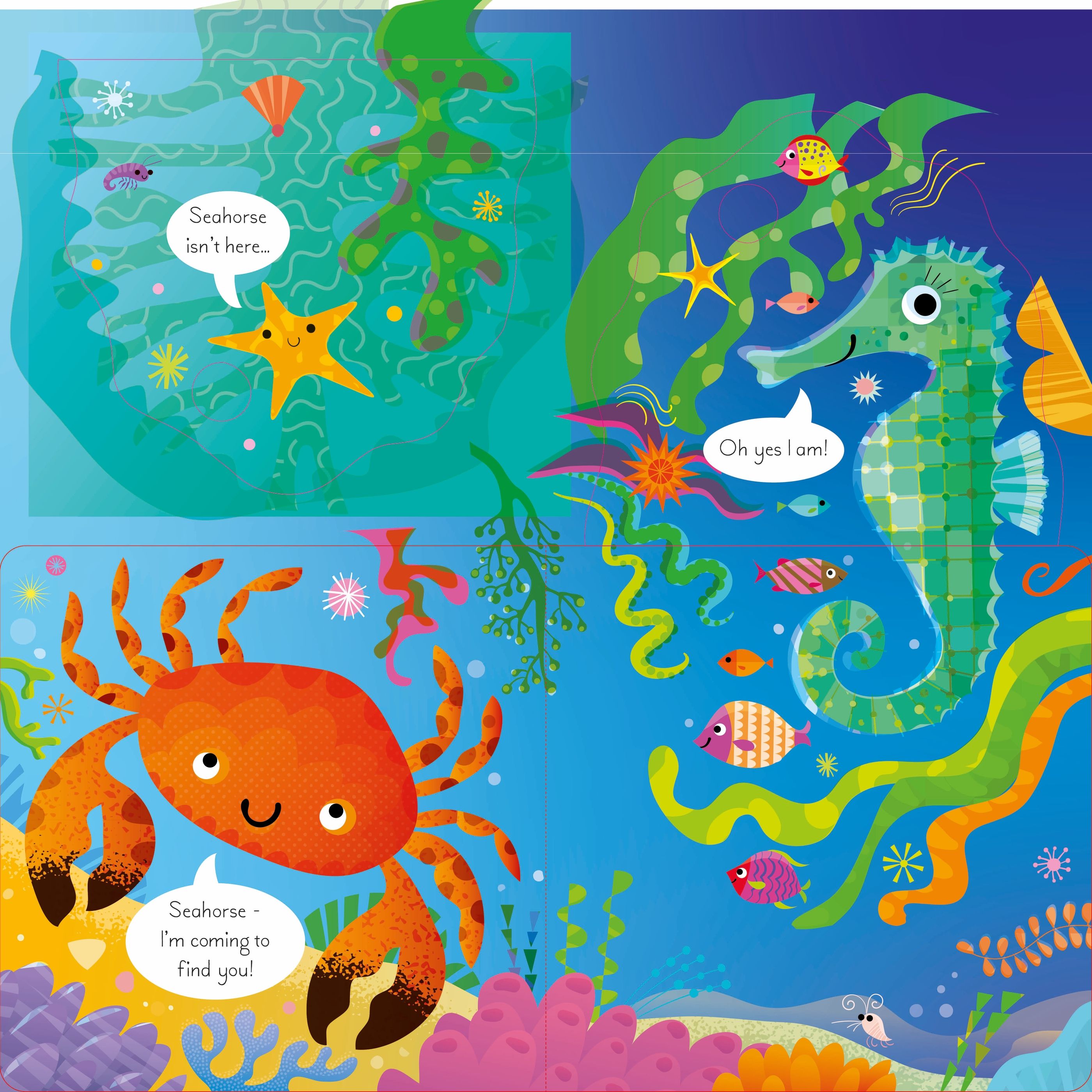 play hide and seek with octopus - Ảnh 4