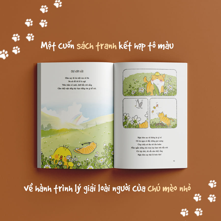 qua lăng kính của một chú mèo - Ảnh 7