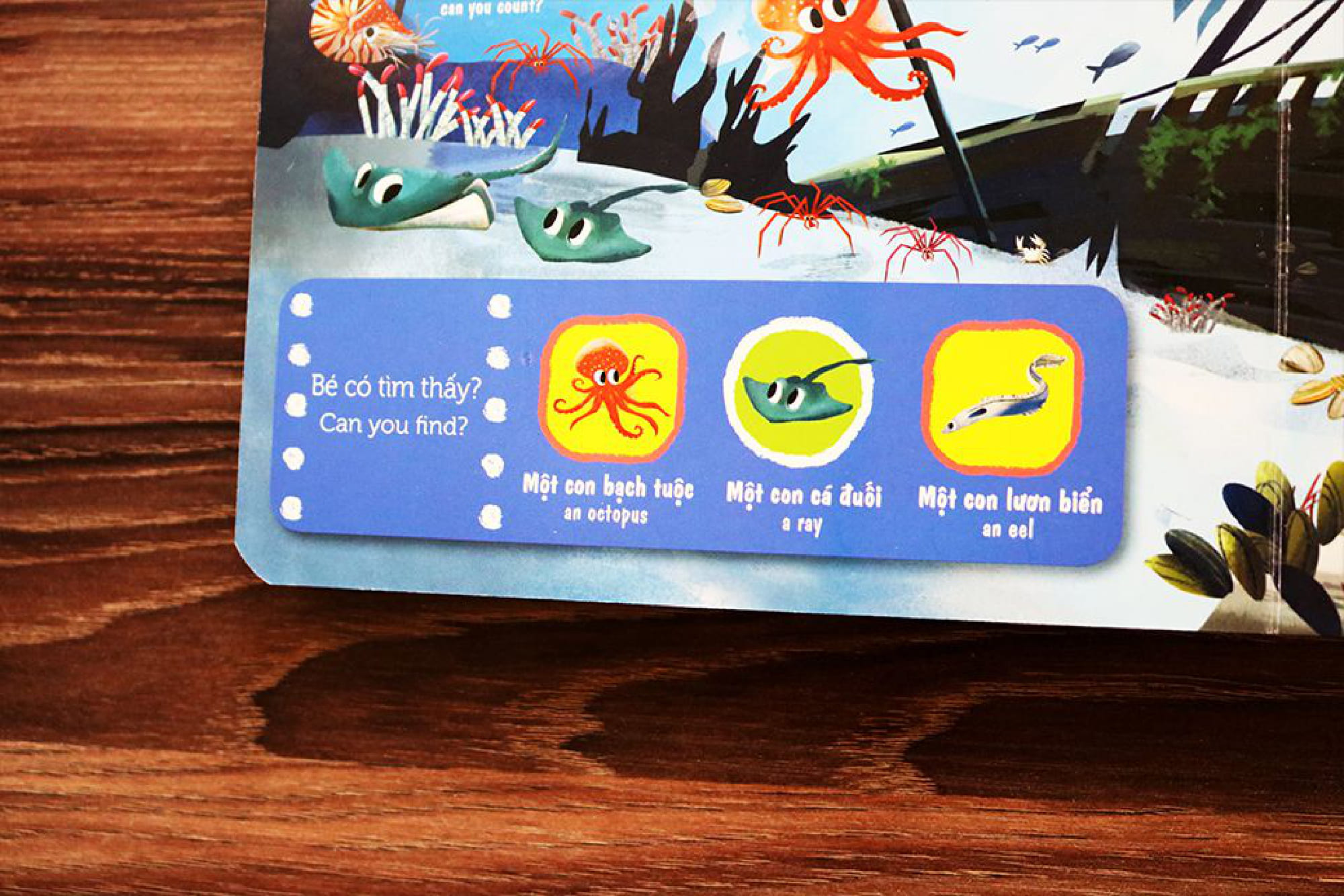 sách chuyển động - first explorers - sea creatures - sinh vật biển - Ảnh 7