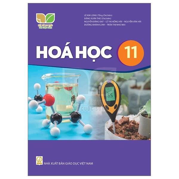 sách giáo khoa lớp 11 - kết nối - chương trình chuẩn (bài học + bài tập) - Ảnh 46