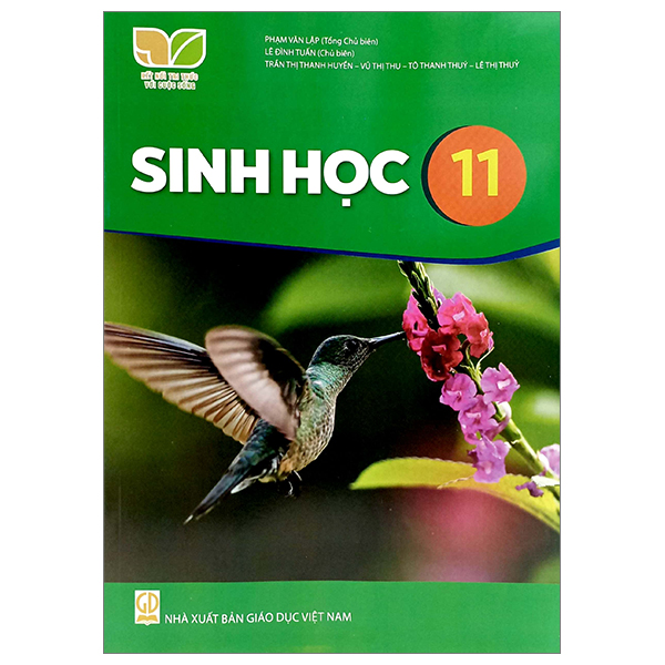 sách giáo khoa lớp 11 - kết nối - chương trình chuẩn (bài học + bài tập) - Ảnh 48