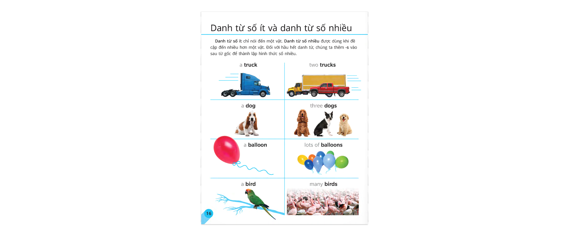 sách tham khảo trực quan về ngữ pháp và dấu câu - Ảnh 9