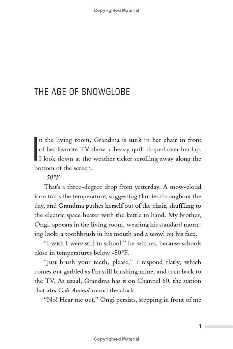 snowglobe - Ảnh 3