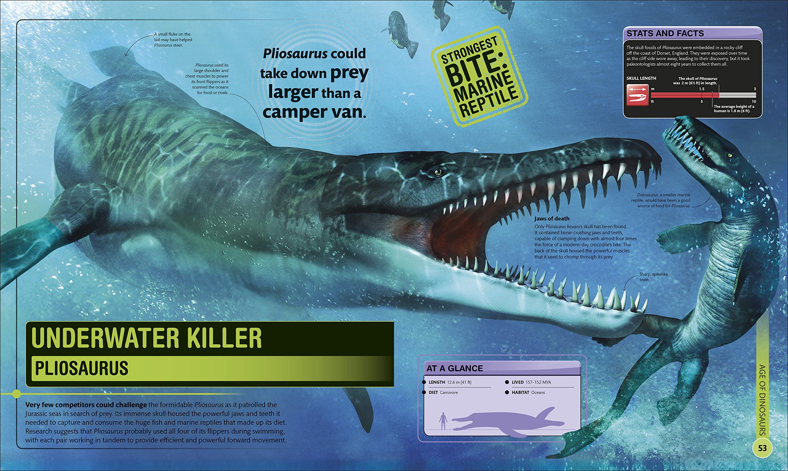 superdinosaur: the biggest, fastest, coolest prehistoric creatures - Ảnh 4