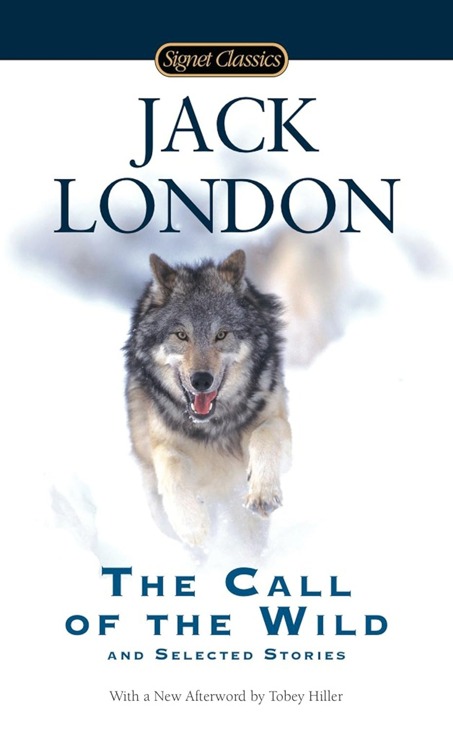 the call of the wild and selected stories - Ảnh 2