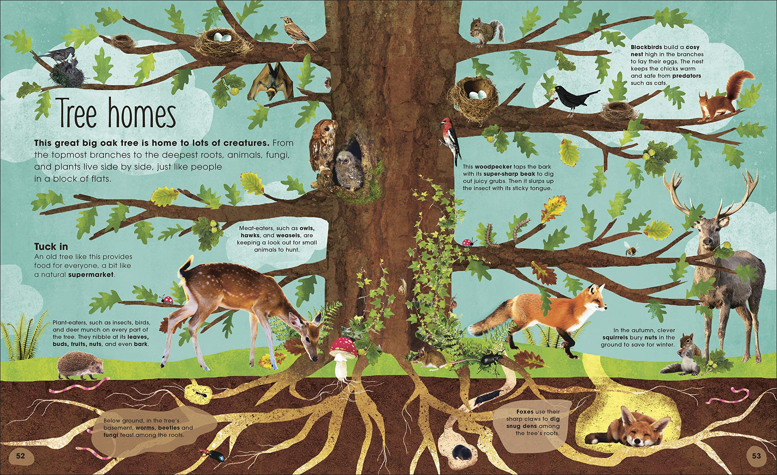 the magic and mystery of trees - Ảnh 4
