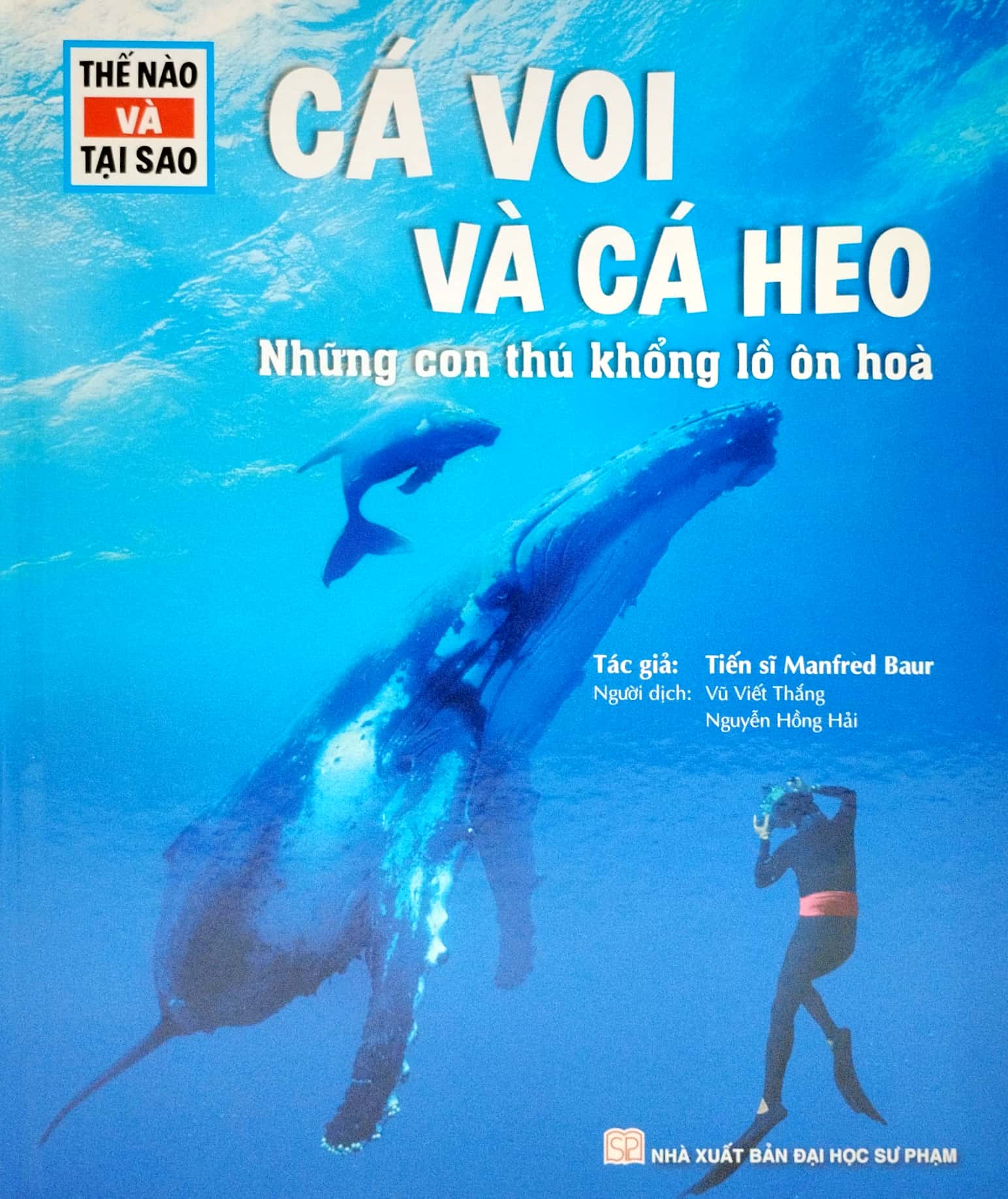 thế nào và tại sao - cá voi và cá heo - những con thú khổng lồ ôn hòa - bìa cứng (tái bản 2023) - Ảnh 3