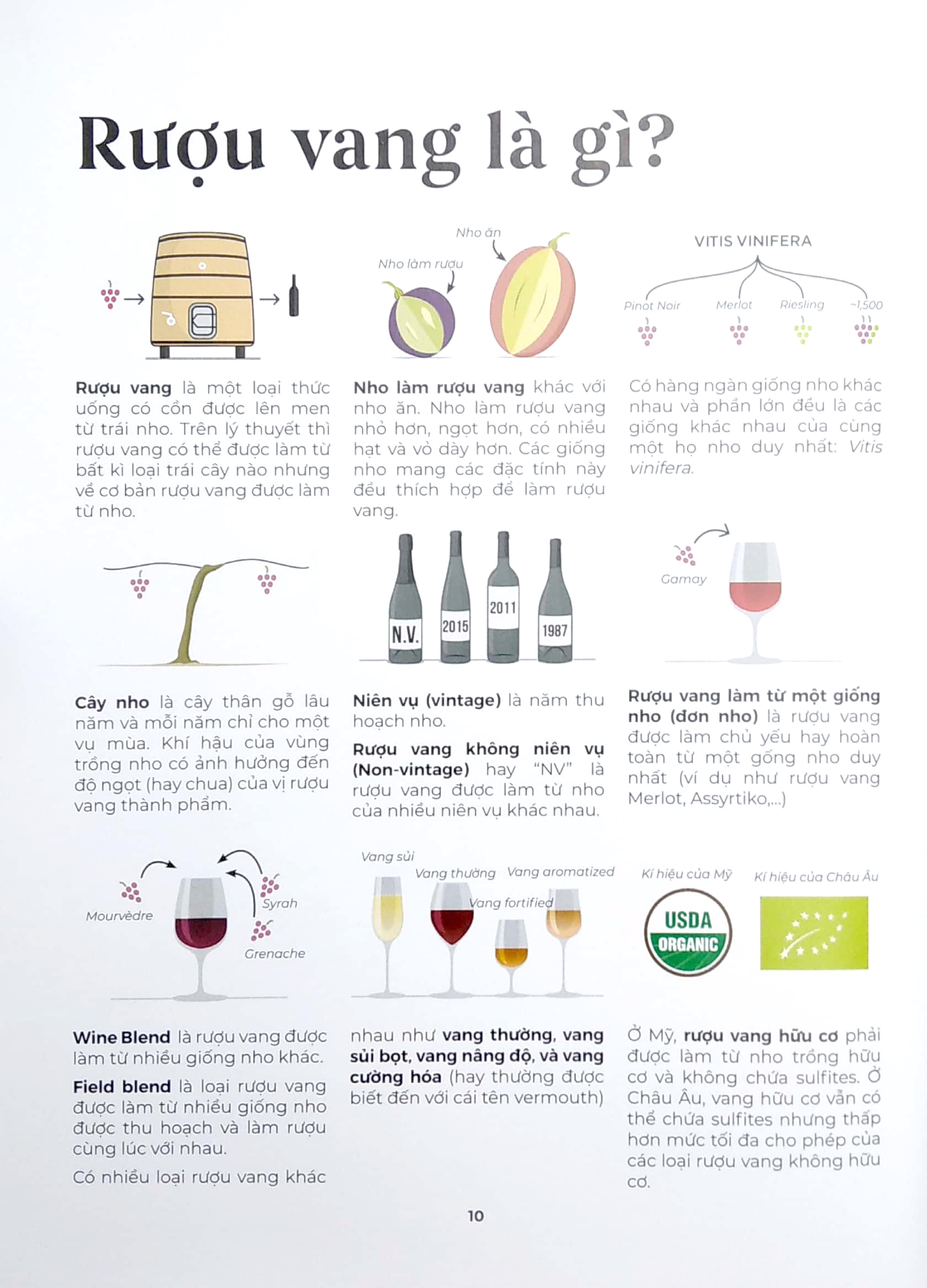 wine folly toàn tập - phiên bản magnum - bìa cứng (tái bản 2023) - Ảnh 4