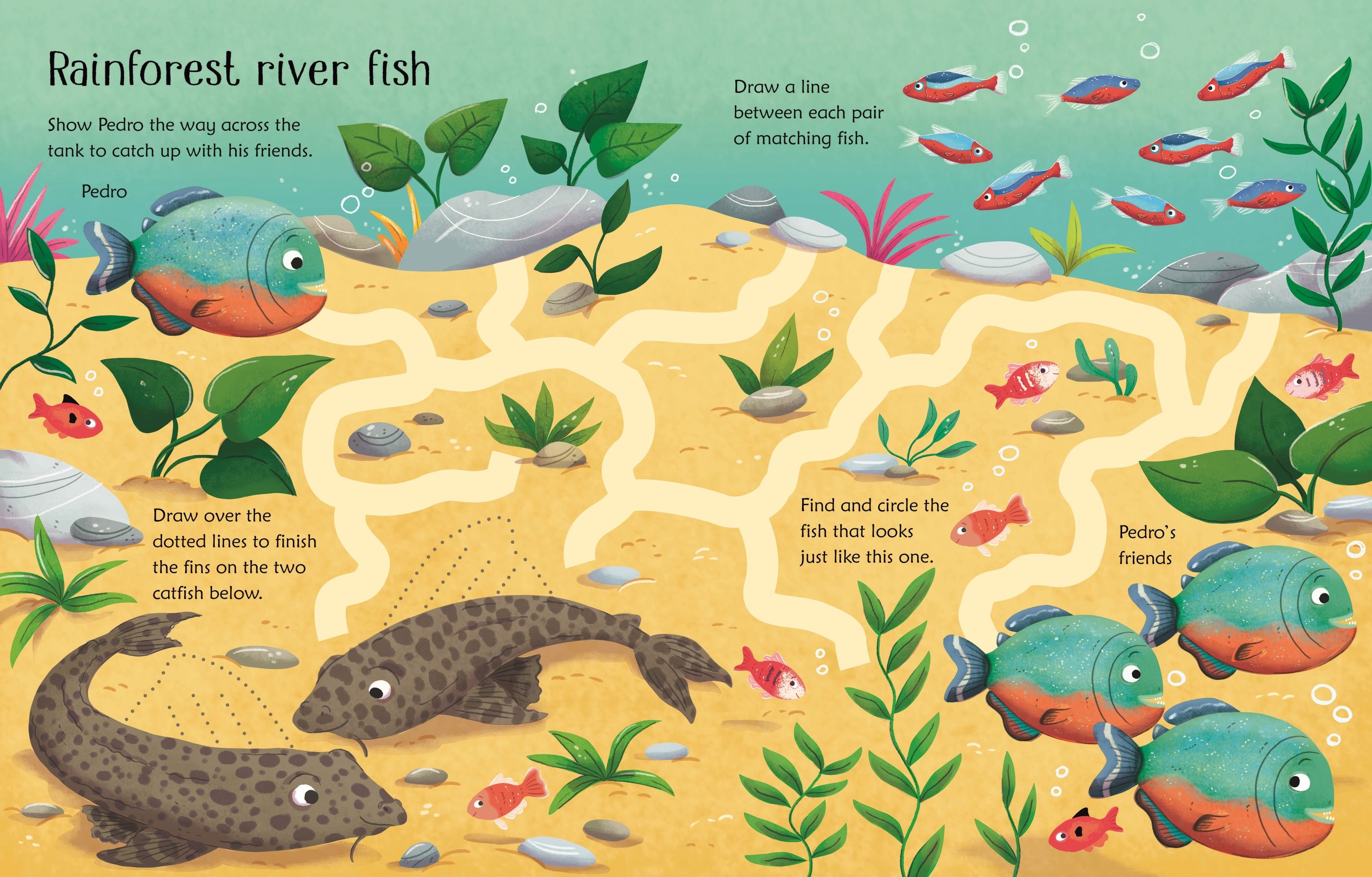 wipe-clean aquarium activities - Ảnh 5